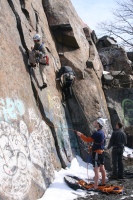 you should see an image here