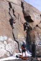 you should see an image here