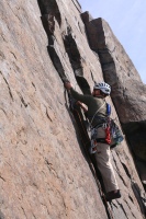 you should see an image here