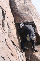 you should see an image here