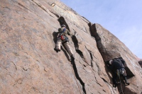 you should see an image here