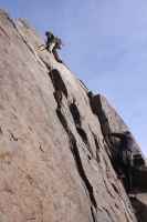 you should see an image here