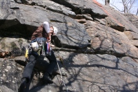 you should see an image here