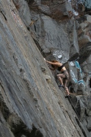 you should see an image here