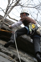 you should see an image here