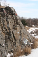 you should see an image here