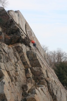 you should see an image here