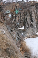 you should see an image here