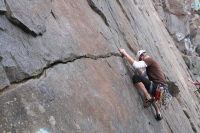 you should see an image here