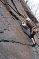 you should see an image here