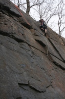 you should see an image here