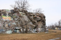 you should see an image here