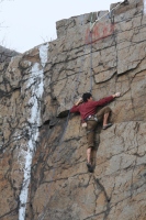 you should see an image here