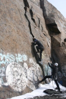 you should see an image here