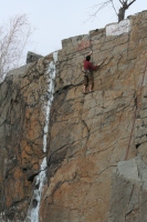 you should see an image here