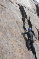 you should see an image here