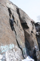 you should see an image here