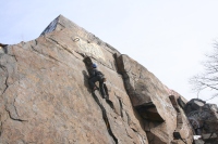 you should see an image here