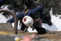 you should see an image here