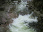 you should see an image here