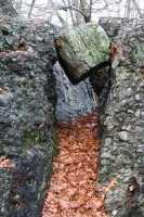 you should see an image here