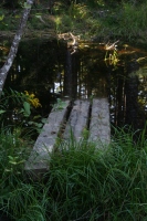 you should see an image here