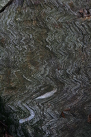 you should see an image here