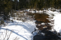 stream