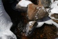 ice rings