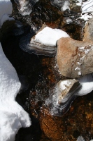 ice rings