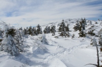 view to summit