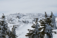 people on summit
