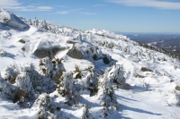 westward view
