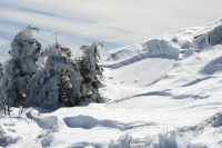 snow and ice