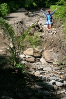 camel's hump
