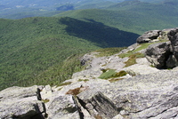 camel's hump 