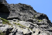 camel's hump
