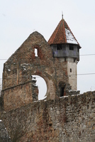 Cârţa 