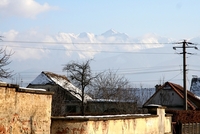 Cârţa