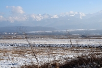 Cârţa
