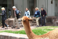 cusco