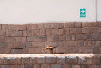 cusco