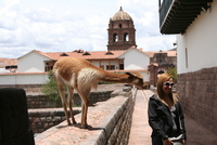 cusco