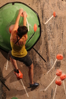 dark horse bouldering