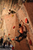 dark horse bouldering