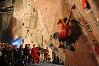 dark horse bouldering