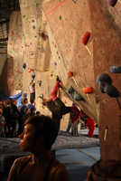 dark horse bouldering
