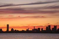 boston harbor 