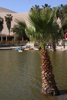 Huacachina