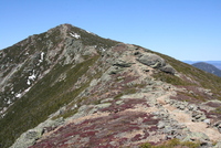 bonticou crag